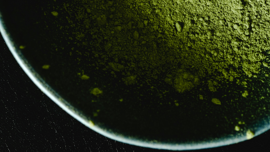 What Happens If You Take Moringa Every Day (10 Reasons)?