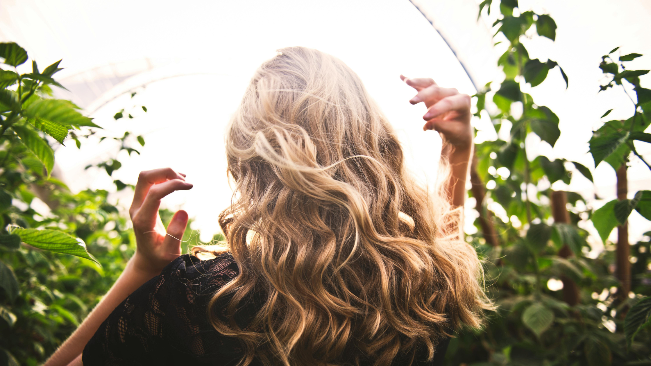 Moringa Benefits for Hair: Supporting Hair Growth and health