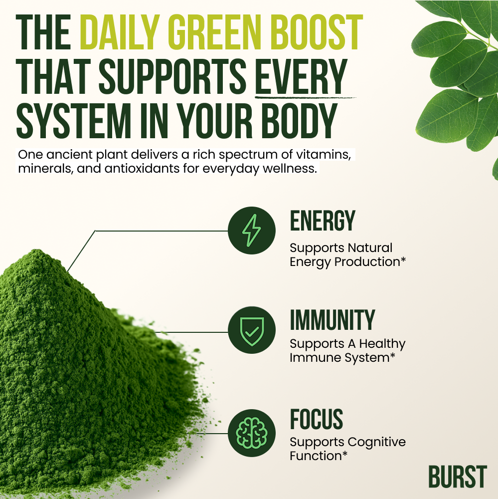Organic BURST Moringa Powder